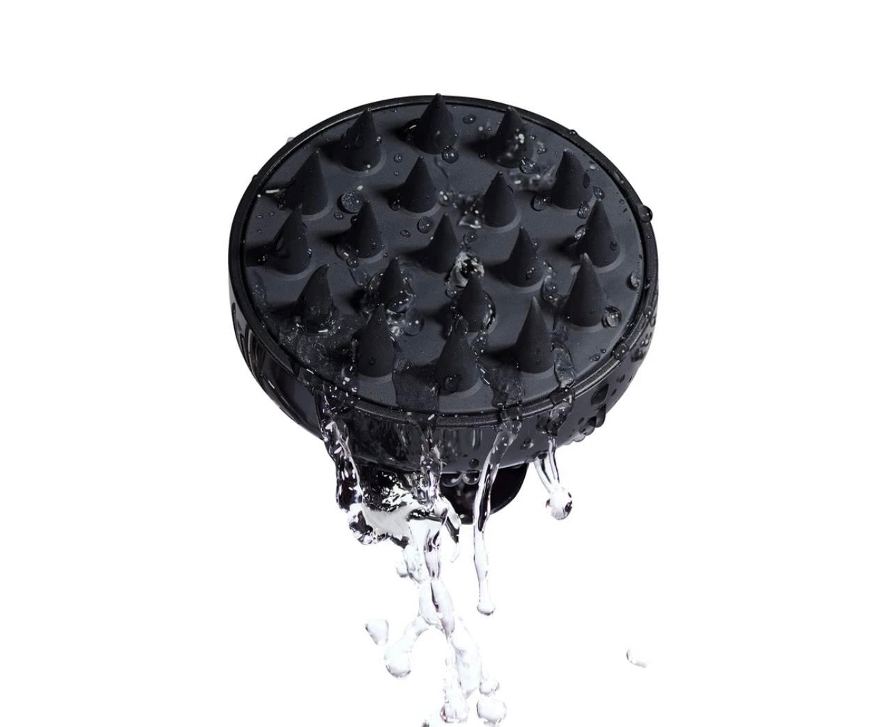 Scalp Brush